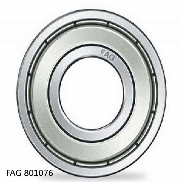 801076 FAG Cylindrical Roller Bearings